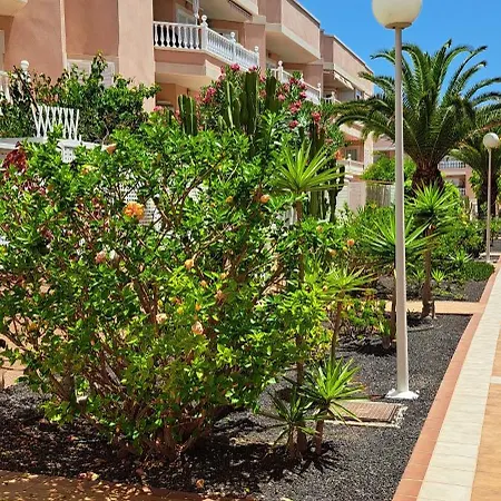 Apartament Casa Malika