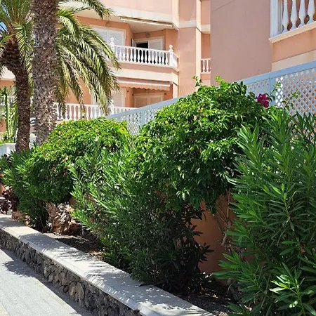 Casa Malika Costa Del Silencio